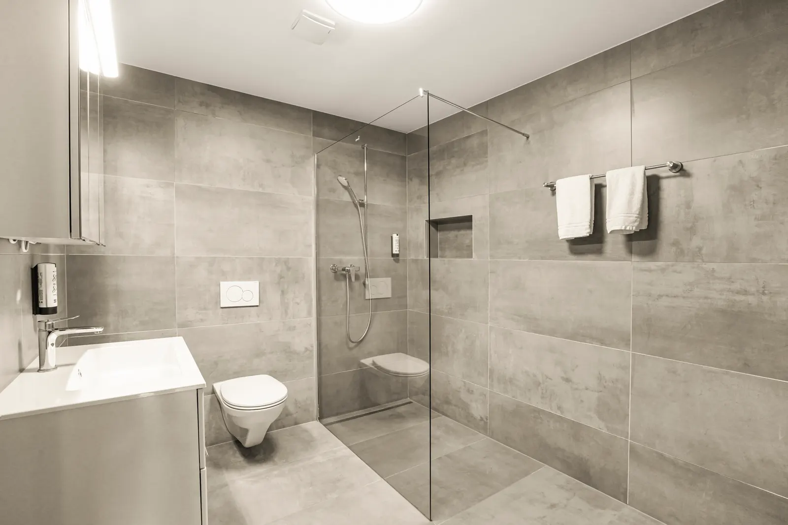 Apartment Standard, Berg & Berg Spiez, Bild 13